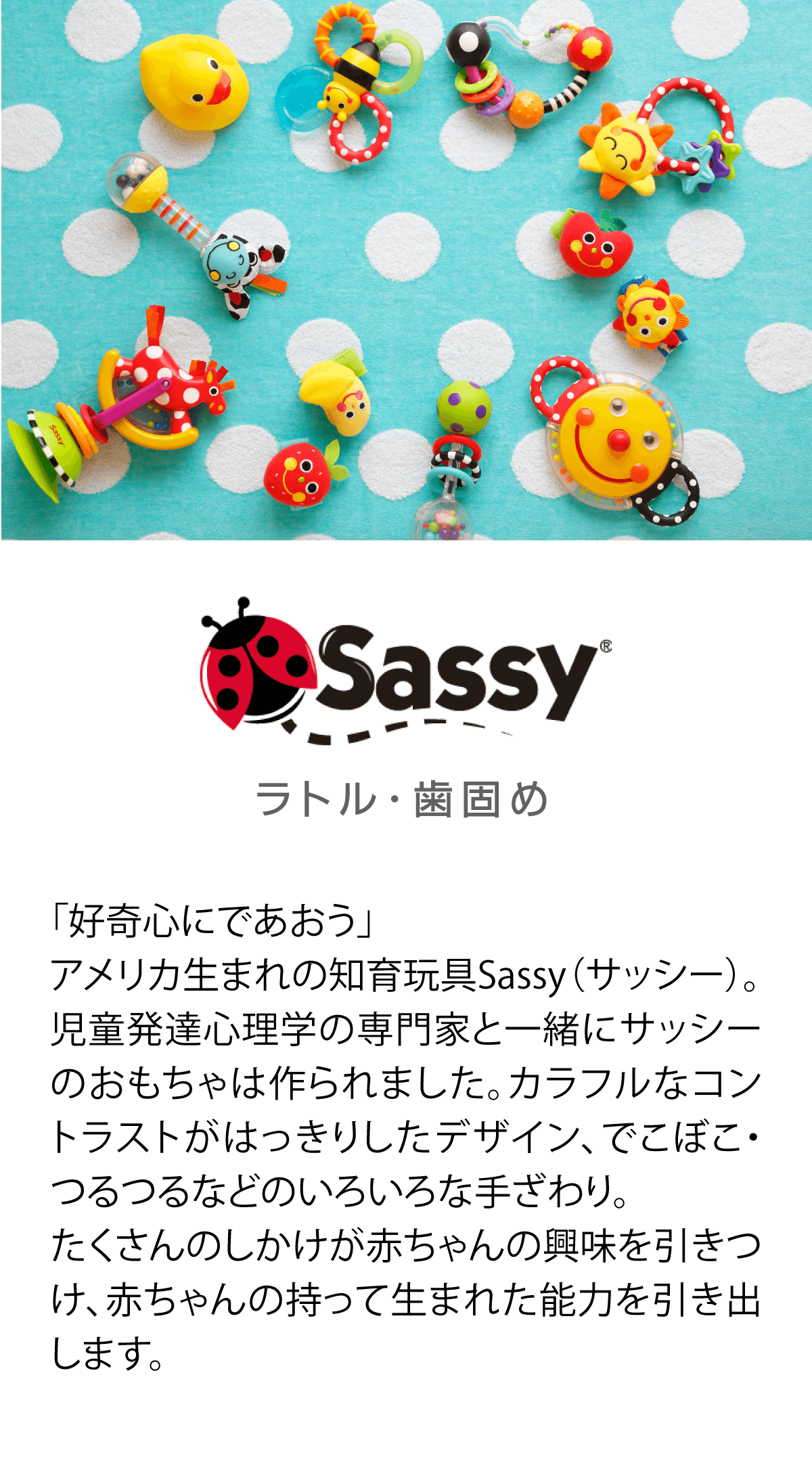知育玩具サッシ―のおもちゃ