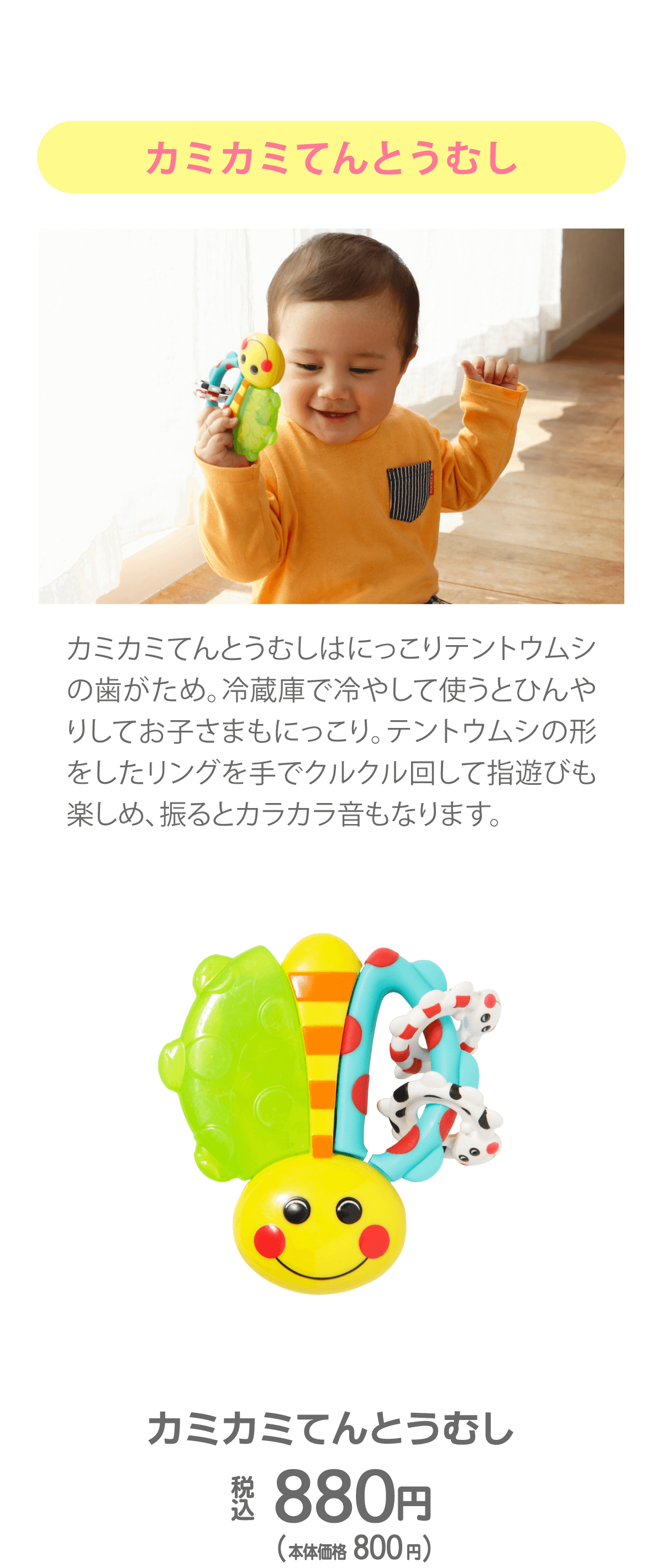 知育玩具サッシ―のおもちゃ